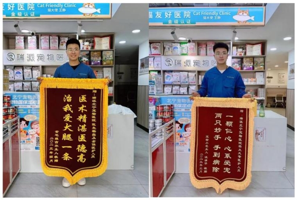 瑞派宠物医生：在纤细骨骼间修复生命裂痕，重筑力量支撑 