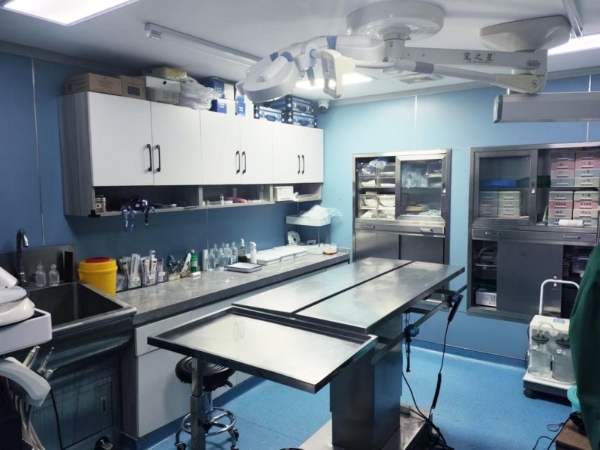 瑞派宠物医生：在纤细骨骼间修复生命裂痕，重筑力量支撑 