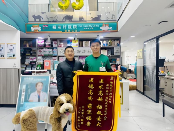 瑞派宠物医生：在纤细骨骼间修复生命裂痕，重筑力量支撑 