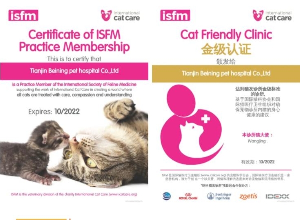 瑞派宠物医生：在纤细骨骼间修复生命裂痕，重筑力量支撑 