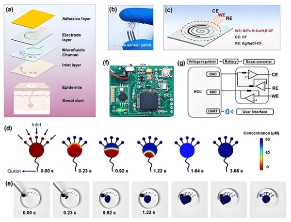 助力科研！中科数惠成功助力国家省部级中西医结合糖尿病管理防治系统重大创新“科研项目” 