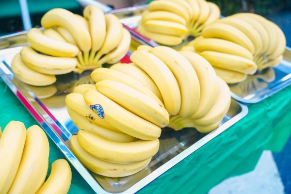 逐梦山水，千岛入画丨2025千岛湖马拉松圆满落幕 