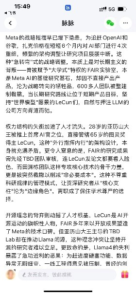 脉脉林凡参加“AI圆桌π对”,认为Meta要赶超同行，需要做人才取舍 