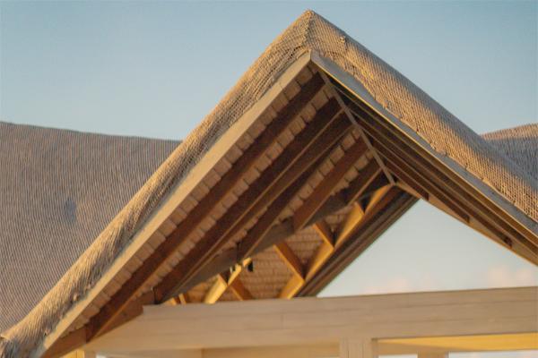 奔向新春：希尔顿马尔代夫阿敏吉里全别墅度假村邀您共启2026“马”上旅程 