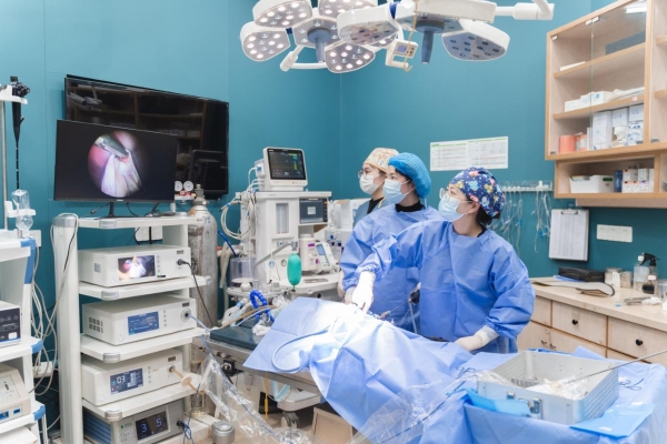 上海安安宠医汪汪小公馆宠物医院：双认证24小时急重症中心，以专科实力守护爱宠健康 