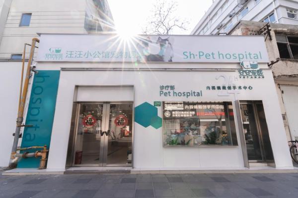上海安安宠医汪汪小公馆宠物医院：双认证24小时急重症中心，以专科实力守护爱宠健康 