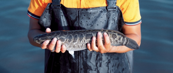 八城同启，暖意相随：椒爱“12店齐开” 书写北方冬日热辣新章 