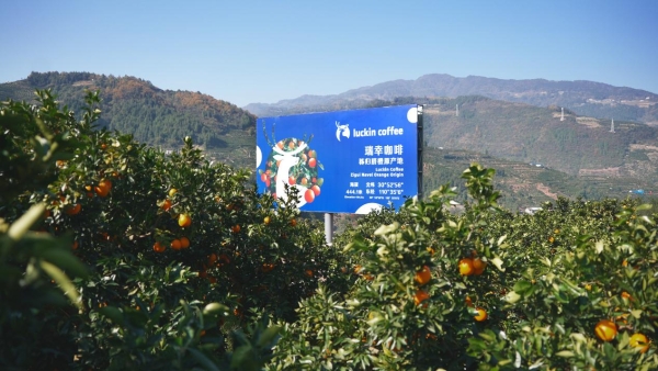 瑞幸秭归落地“万亩脐橙原产地”，携手秭归政府展开助农合作 