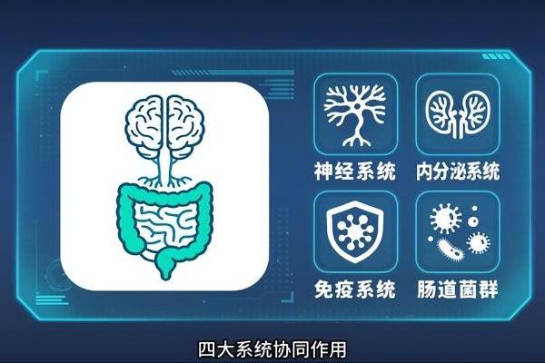  开启你的"肠"归作息，养乐多带你探寻优质睡眠的活力密码 