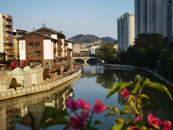 大医精诚，守正创新：盛国轩与中医药的时代答卷 