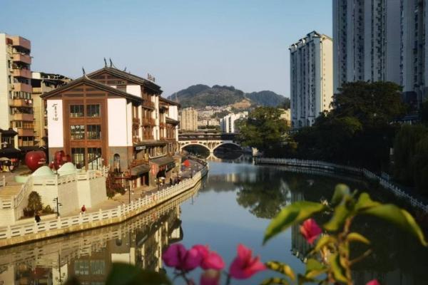 大医精诚，守正创新：盛国轩与中医药的时代答卷 