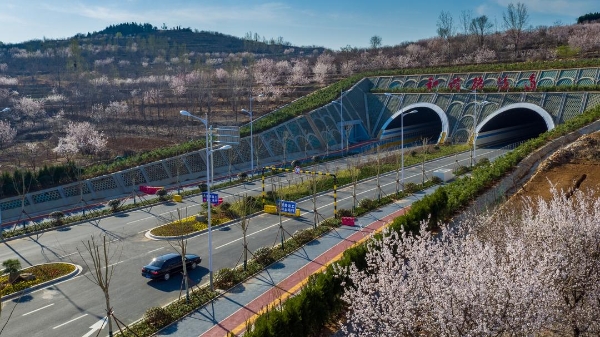 资源型城市的“二次创业”——枣庄凝聚共识推进城市蝶变 