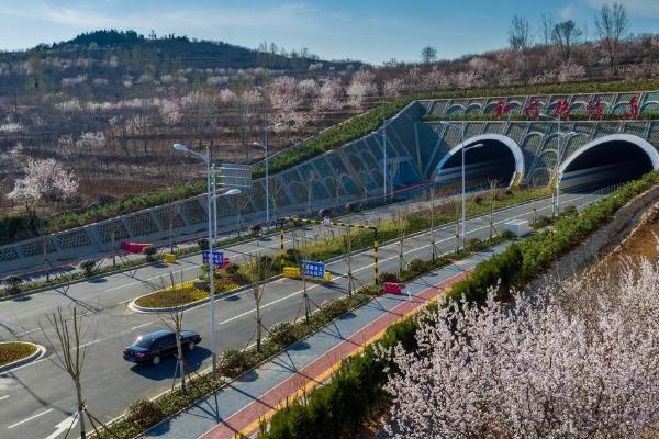 资源型城市的“二次创业”——枣庄凝聚共识推进城市蝶变 