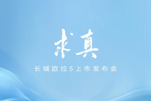 央视联合行业专家对话魏建军，长城欧拉“隐藏款”引期待……  