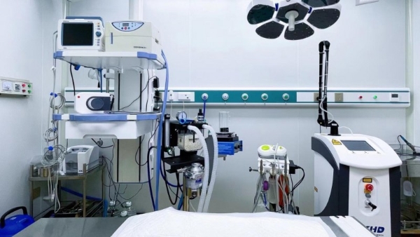 瑞派宠物医生：从全科医师到内科复杂病例“终结者”，跻身国内首批兽医内科专科医师行列 