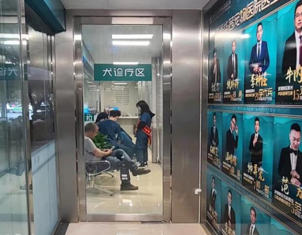 瑞派宠物医生：从全科医师到内科复杂病例“终结者”，跻身国内首批兽医内科专科医师行列 