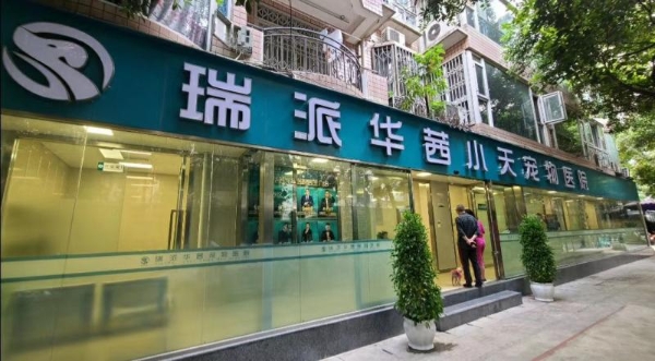 瑞派宠物医生：从全科医师到内科复杂病例“终结者”，跻身国内首批兽医内科专科医师行列 