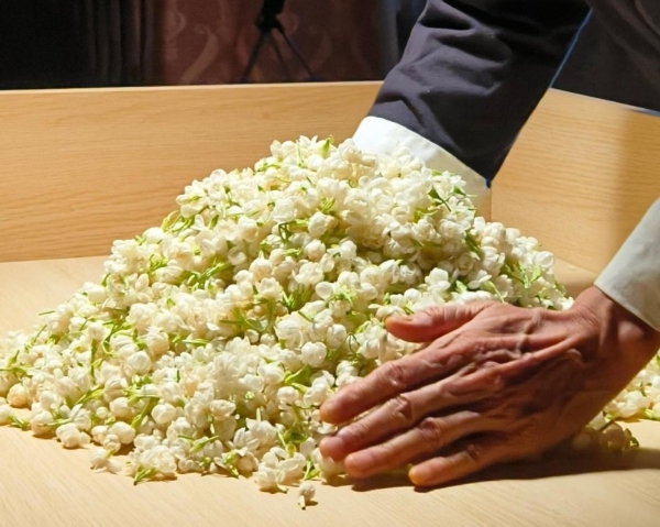 梁小糖4.0门店亮相南宁，开启品牌焕新篇章 