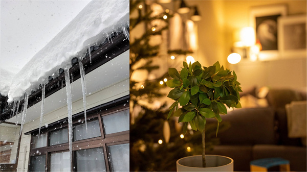 冬日里的暖意 花王“润”心相伴 