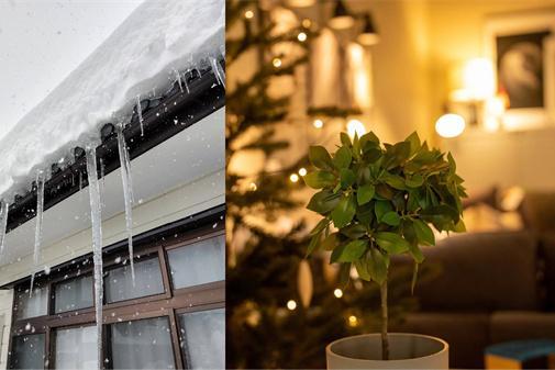 冬日里的暖意 花王“润”心相伴 