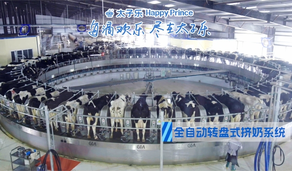 冬雪漫舞添寒意，太子乐乐弘多维营养护安康 