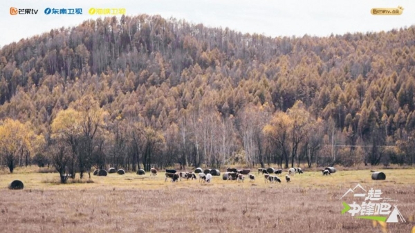  创业者挑战纪实真人秀《一起冲锋吧》今日开播 