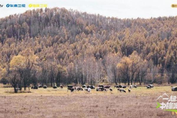  创业者挑战纪实真人秀《一起冲锋吧》今日开播 