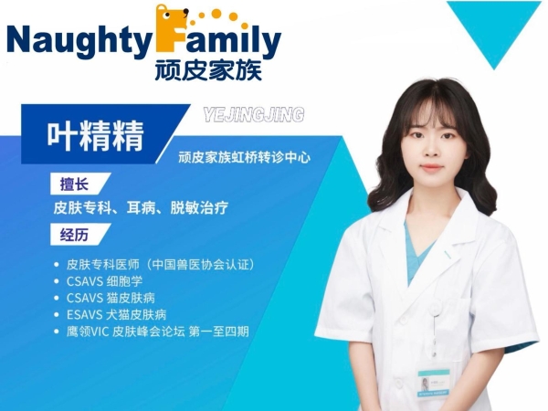 新瑞鹏破解猫慢性耳疾难题，多年顽固性中耳炎病患“欧欧”重获新生 