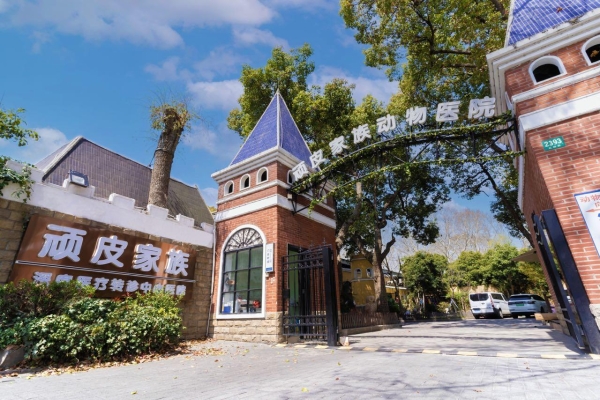 新瑞鹏破解猫慢性耳疾难题，多年顽固性中耳炎病患“欧欧”重获新生 