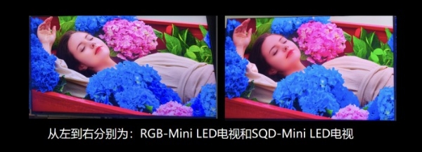 占据市场半壁江山！海信RGB-Mini LED电视如何成为高端电视首选 