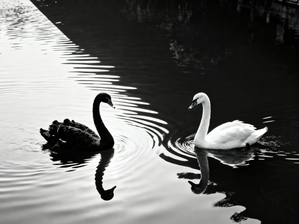 万物皆可主演，创意即刻变现：RunningHub首发支持Wan2.6企业级调用 