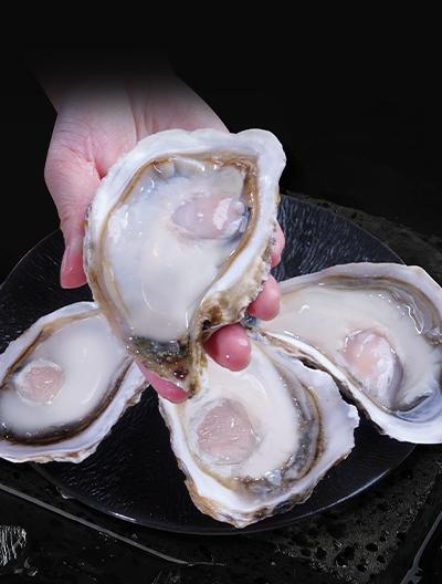 京东首发！源头直发！高品质贝司令冰鲜半壳生蚝重磅上线 