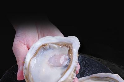 京东首发！源头直发！高品质贝司令冰鲜半壳生蚝重磅上线 