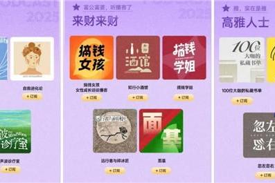 网易云音乐发布2025年度播客榜单 公布年度百大优质播客 