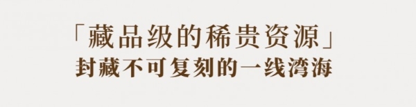 一席文澜，半城湾海｜中交·文澜天玥产品发布盛典，圆满落幕 
