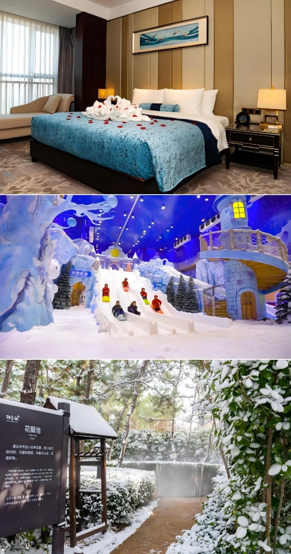  全国首条“天鹅旅游专线”荣成首发丨那香海湖畔天鹅舞动，乘高铁直达冬日盛景！ 