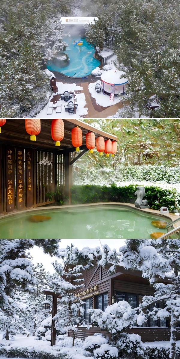  全国首条“天鹅旅游专线”荣成首发丨那香海湖畔天鹅舞动，乘高铁直达冬日盛景！ 