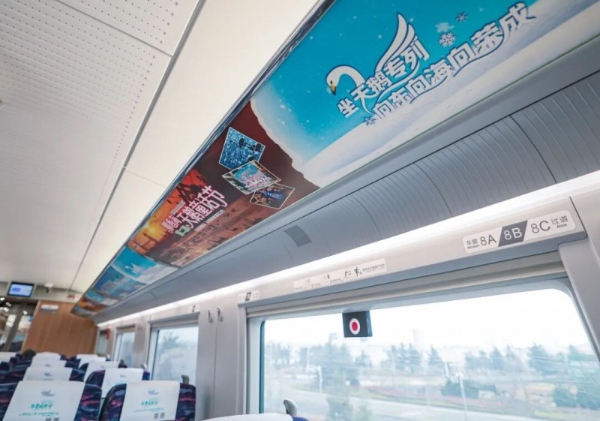  全国首条“天鹅旅游专线”荣成首发丨那香海湖畔天鹅舞动，乘高铁直达冬日盛景！ 