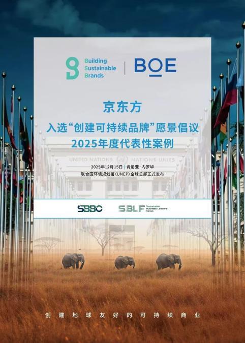  BOE（京东方）亮相联合国可持续企业家论坛 共推全球“可持续品牌标准”建设 