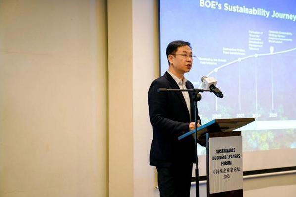  BOE（京东方）亮相联合国可持续企业家论坛 共推全球“可持续品牌标准”建设 