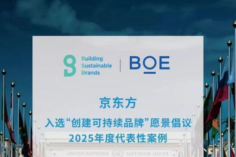  BOE（京东方）亮相联合国可持续企业家论坛 共推全球“可持续品牌标准”建设 
