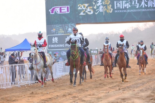 2025江西都昌国际马术耐力赛圆满落幕 鄱阳湖畔谱写“体育+文旅”融合新篇 