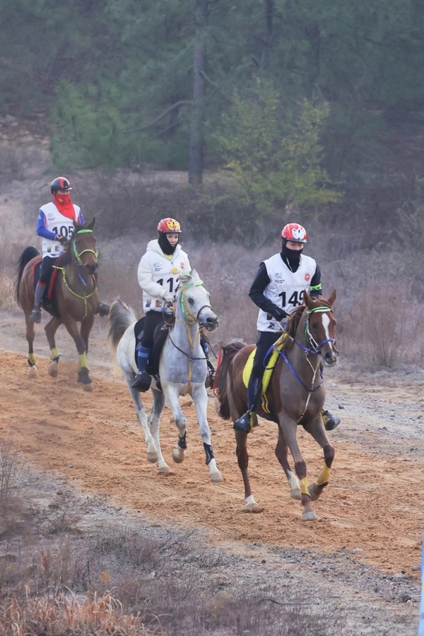 2025江西都昌国际马术耐力赛圆满落幕 鄱阳湖畔谱写“体育+文旅”融合新篇 