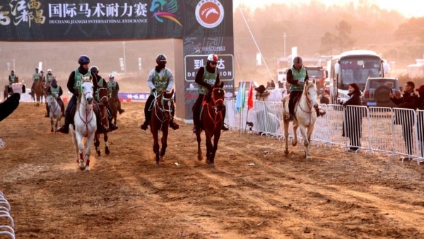 2025江西都昌国际马术耐力赛圆满落幕 鄱阳湖畔谱写“体育+文旅”融合新篇 