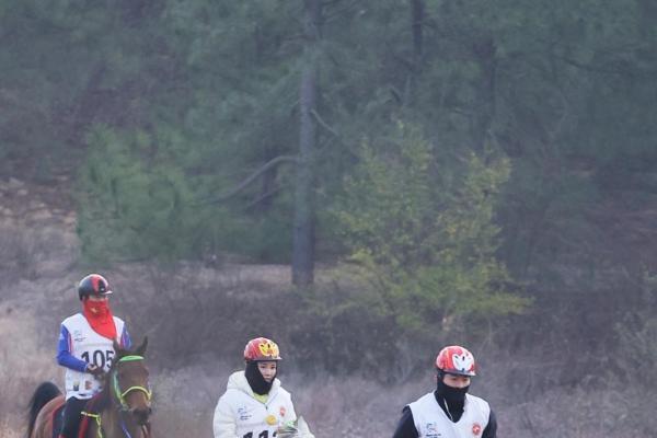 2025江西都昌国际马术耐力赛圆满落幕 鄱阳湖畔谱写“体育+文旅”融合新篇 