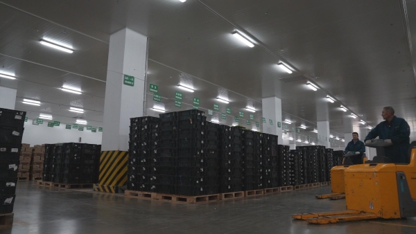  从基地到货架“不倒筐”！家家悦68万周转筐降低23%生鲜损耗 