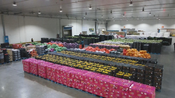  从基地到货架“不倒筐”！家家悦68万周转筐降低23%生鲜损耗 