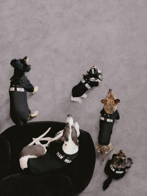  TEAM WANG design 发布 THE ORIGINAL 1 全新生活方式子系列 —— “FRIENDS” 