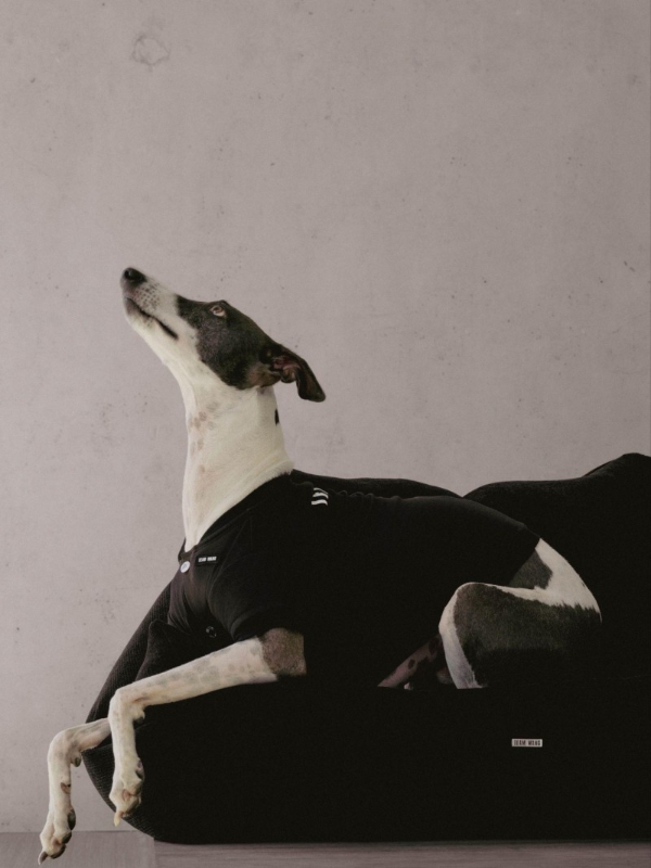  TEAM WANG design 发布 THE ORIGINAL 1 全新生活方式子系列 —— “FRIENDS” 