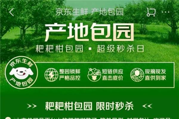  冬日“甜蜜炸弹”来袭！京东生鲜“包园”耙耙柑12月20日源头直发 